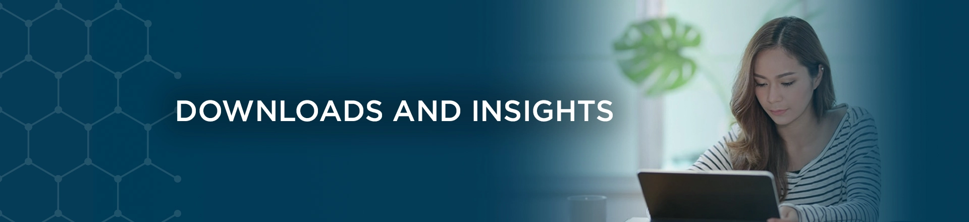 Data Privacy Insights